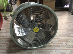 96695